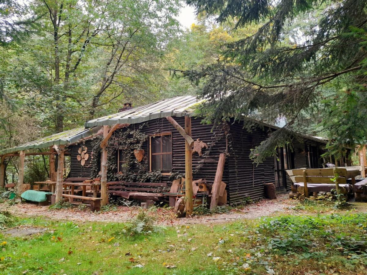 Apartment Wilde Auwaldhaus Bertsdorf