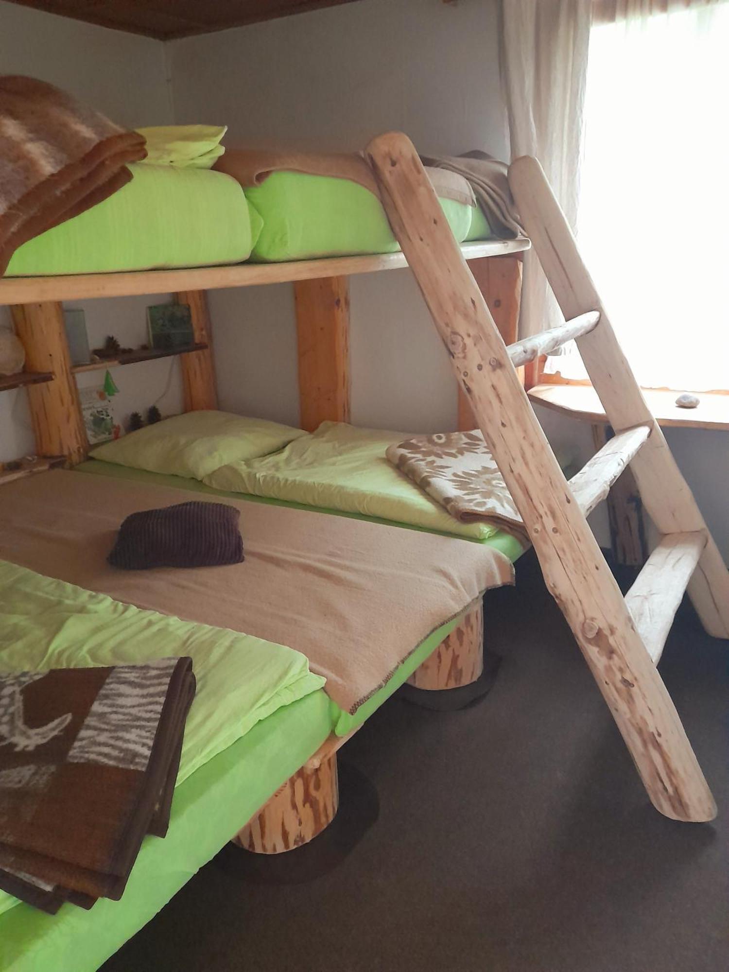 Wilde Auwaldhaus Apartment Bertsdorf
